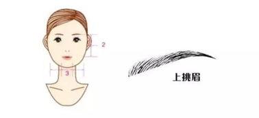 明星是怎么画眉的,打造完美眉型攻略