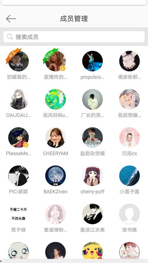 qq群吃瓜群,网络社交新现象背后的趣味与争议