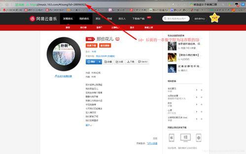 怎样加入头条音乐频道,如何快速加入头条音乐频道，开启音乐之旅