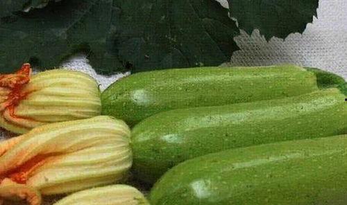 糖友可以吃白瓜,白瓜成为健康饮食新宠