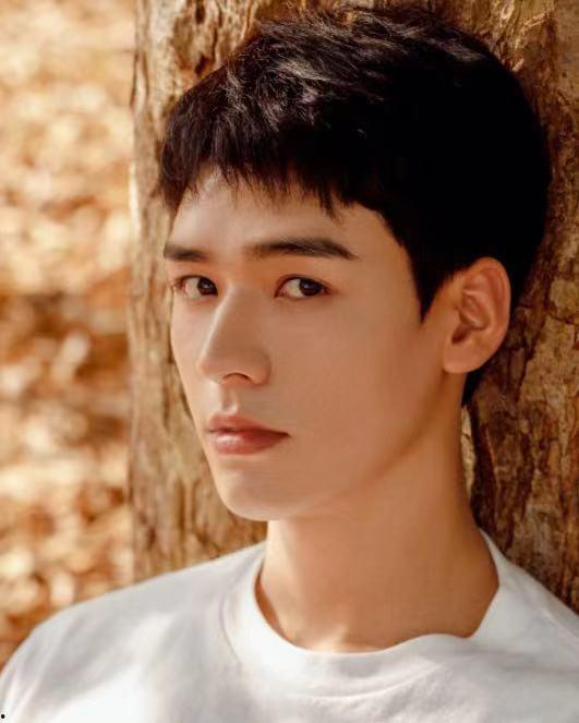 明星龚俊的头像,头像诠释偶像风采