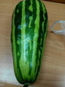 瓜瓜是吃瓜的瓜,揭秘瓜界风云