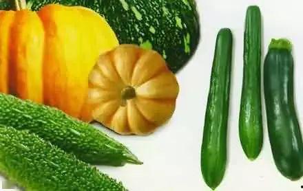 吃瓜自来水公司,水质安全背后的故事