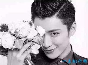 中国男明星抑郁症,揭秘中国男星抑郁症的隐秘角落