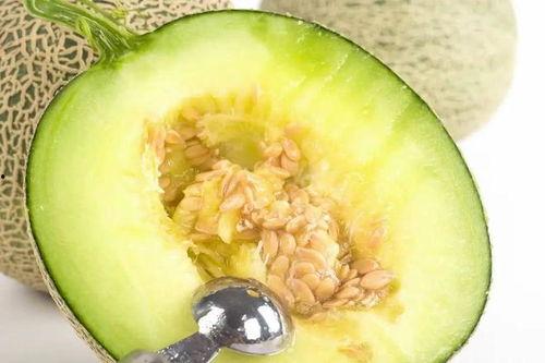 吃瓜地址大全,一网打尽娱乐圈最新动态